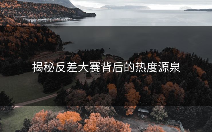 揭秘反差大赛背后的热度源泉