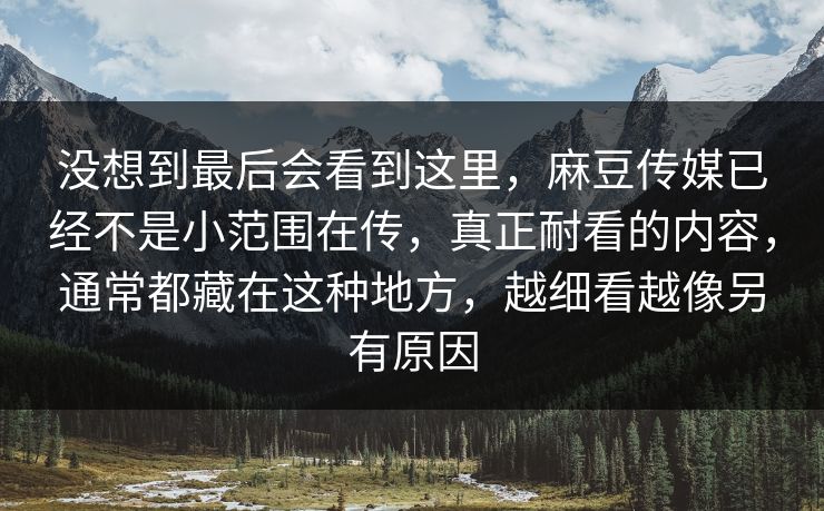 没想到最后会看到这里，麻豆传媒已经不是小范围在传，真正耐看的内容，通常都藏在这种地方，越细看越像另有原因