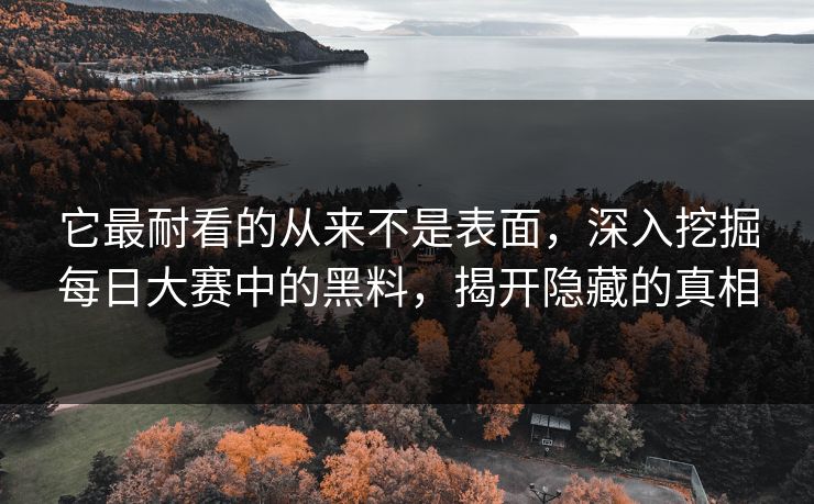 它最耐看的从来不是表面，深入挖掘每日大赛中的黑料，揭开隐藏的真相